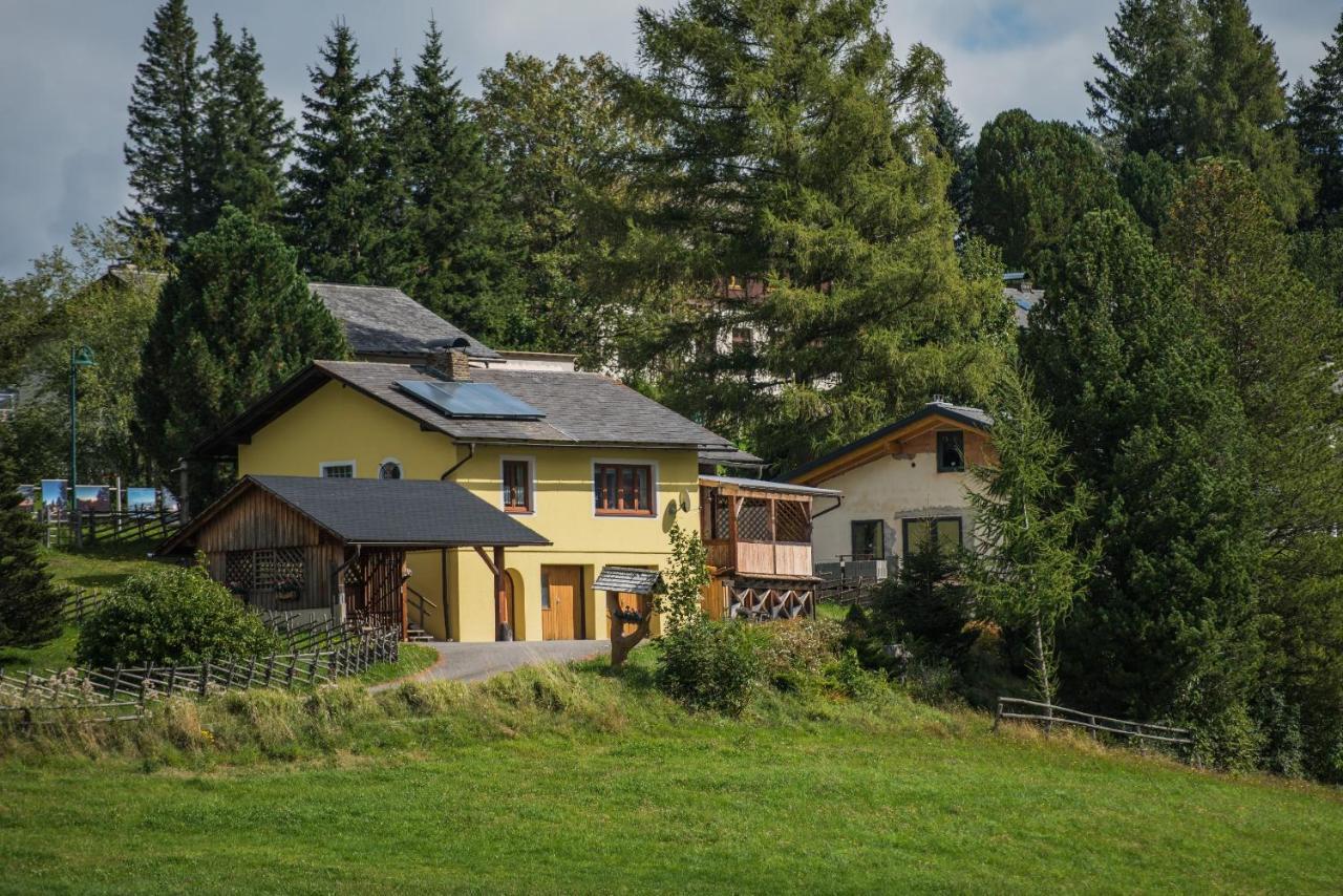 Ferienhaus Seetaler Alpen Obdach Extérieur photo